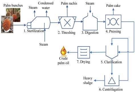 Crude Oil Extraction Process