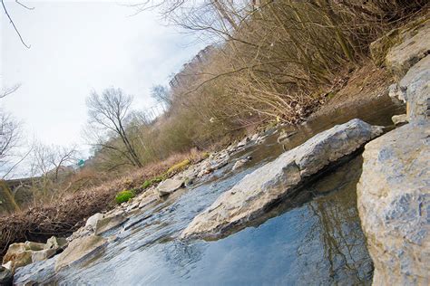 Perspectives: My Favorite Pittsburgh Park for Running | Pittsburgh Magazine