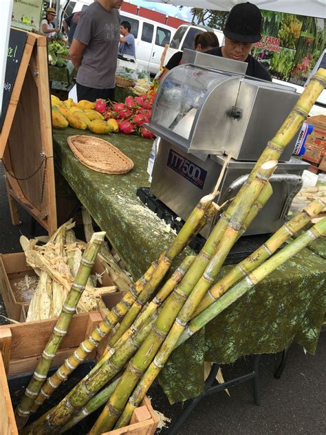 Sugar cane | Sugar cane, Farmers market, Farmer