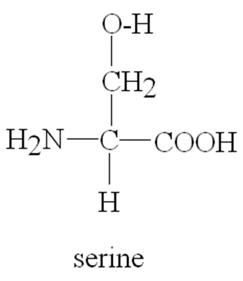 World of Biochemistry (blog about biochemistry): Amino acids with ...