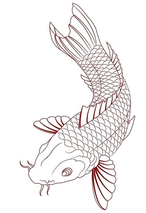 Boceto de tatuaje de pez koi simple #colifishcolors - #Boceto # ...