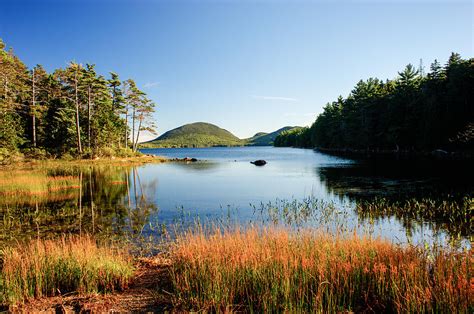 Marshy Area along Lake shore Photograph by Douglas Barnett - Fine Art ...