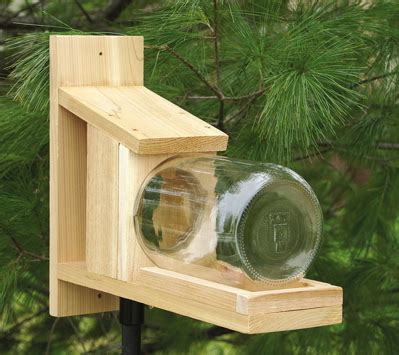 Cedar & Glass Jar Squirrel Feeder | Unique Birdhouse Boutique