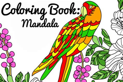 Mandala Coloring Book - Play Market