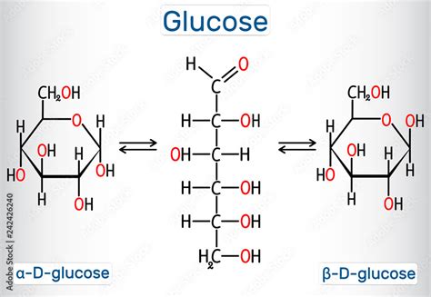 Chemical Makeup Of Glucose | Saubhaya Makeup