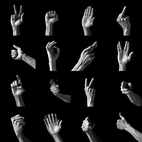 Hand Gestures by Science Photo Library