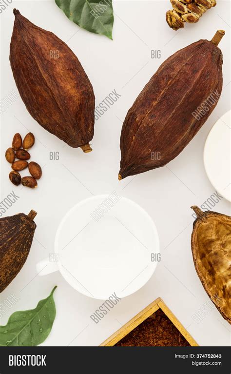 Cocoa Beans Pods On Image & Photo (Free Trial) | Bigstock