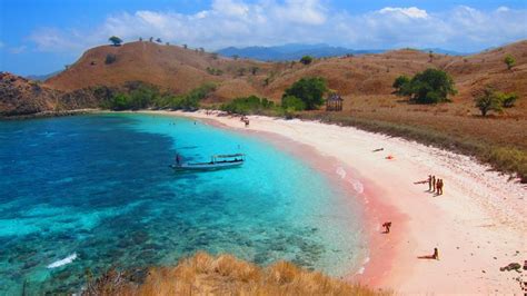 The Marvelous Pink Beach at Labuan Bajo - Indoindians.com