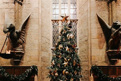 The Best Harry Potter Christmas Scenes | Harry potter christmas scene ...