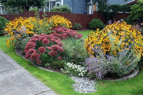 Amazing Rain Garden Design Ideas | HGTV