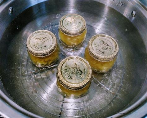 What Is Hot Water Bath Canning & How To Do It - Preserve & Pickle