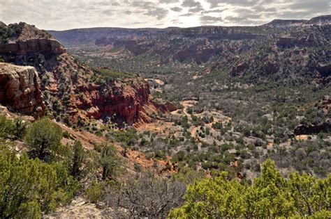 5 State Parks to Visit Near Dallas | DFWChild