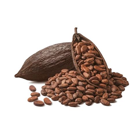 Cocoa Bean Exotic Fruits, varieties, production, seasonality | Libertyprim