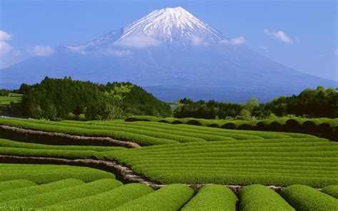 Japan, Landscape, Mount Fuji Wallpapers HD / Desktop and Mobile Backgrounds