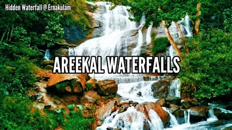 Areekal Waterfall | Ernakulam | Kerala | India - YouTube