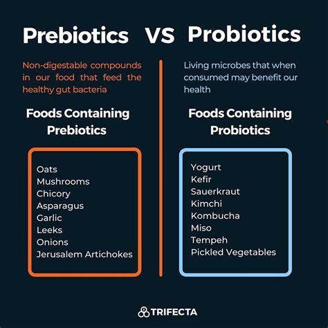 Prebiotics vs. Probiotics: Key Differences and Gut Health Explained