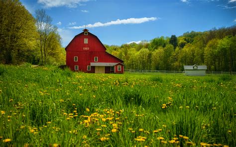 Summer countryside pennsylvania wallpaper | 1920x1200 | #31991