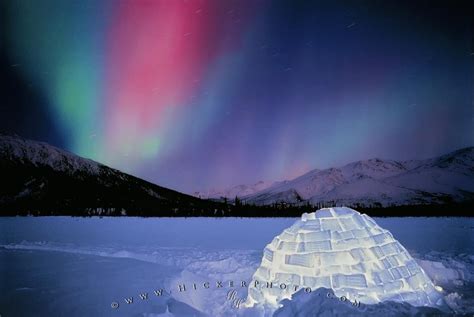 Northern Lights Igloo Alaska | Photo, Information