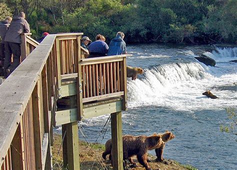 Use Alaska Tours. You'll be glad you did. - Alaska Tours