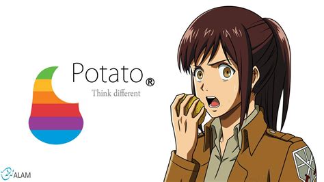 Potato Wallpapers - Wallpaper Cave