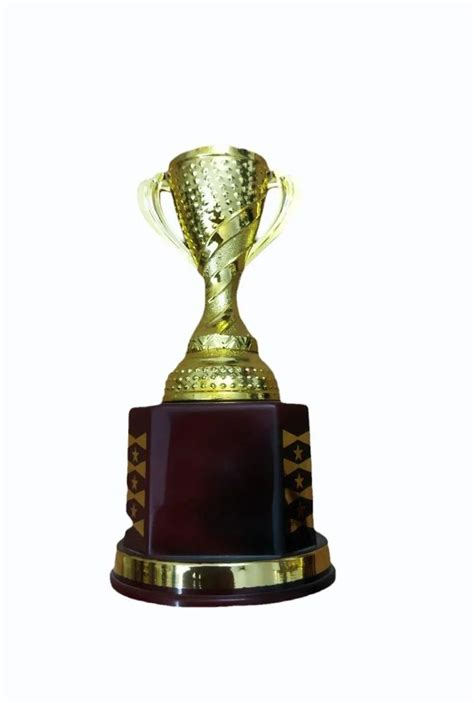 Fiber Cricket World Cup Trophy, For School, Size: 5-10 inch at Rs 105 ...