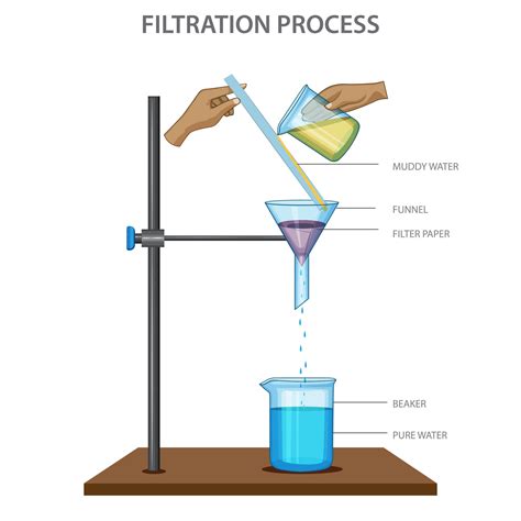 Filtration process science experiment vector illustration 23107070 ...