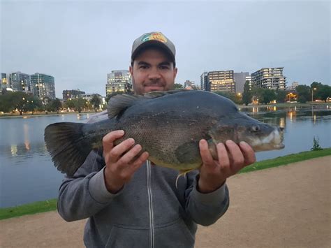 Albert Park Lake - Fishing Mad