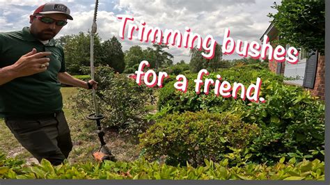 Trimming bushes to help out a friend! Up close bush trimming! - YouTube