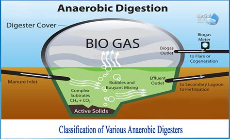 What are the different types of anaerobic digesters - Netsol Water