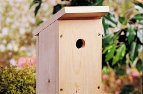 Build a One-Board DIY Birdhouse | Backyard Projects - Birds & Blooms