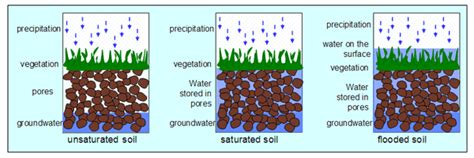 What Is Saturated Soil