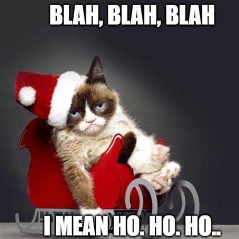 20+ Funny Ho Ho Ho Memes 2023 to Amp Up Christmas Vibes