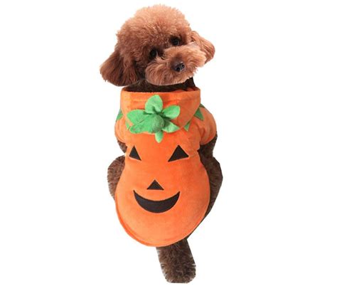 The Best Dog Halloween Costumes on Amazon Under $25