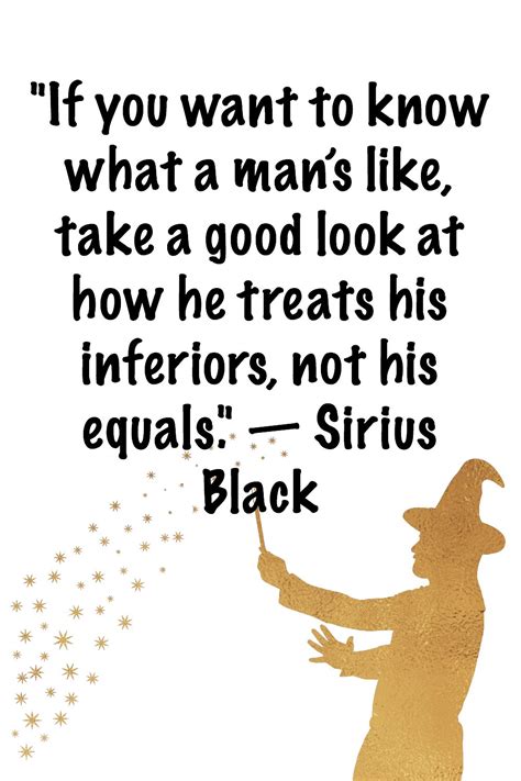 Sirius Black quotesSirius Black quotes from Harry - Millennial Boss