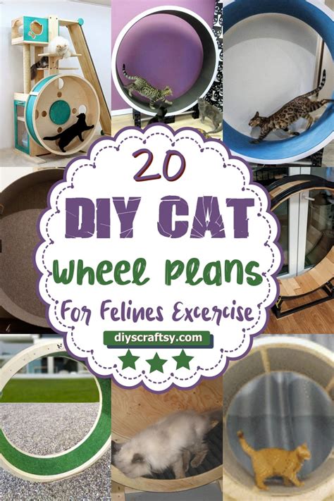 20 Best DIY Cat Wheel Plans For Felines Excercise - DIYsCraftsy