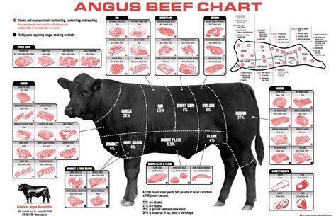 Beef Basics