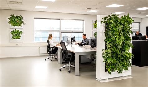 Improve your open office with plants - Mobilane