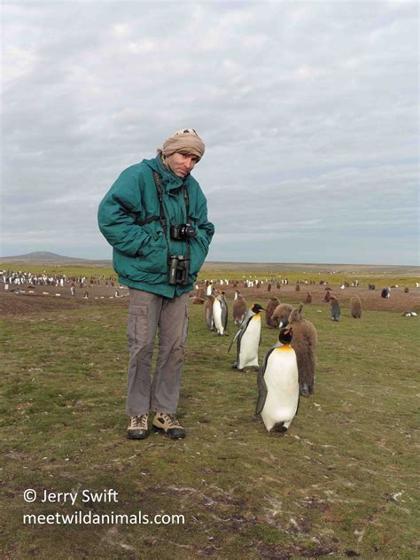 Falkland Islands - Meet Wild Animals