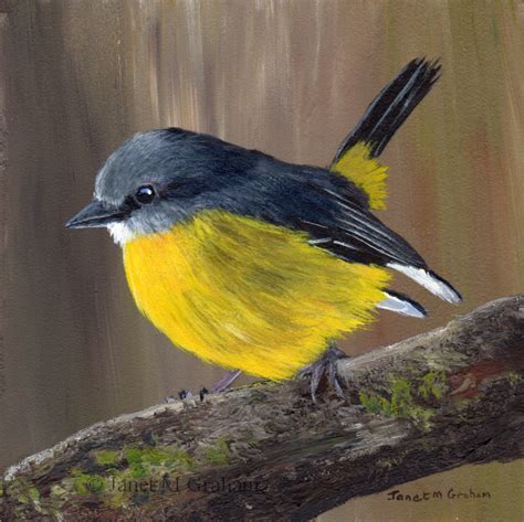 Yellow Bird Painting at PaintingValley.com | Explore collection of ...