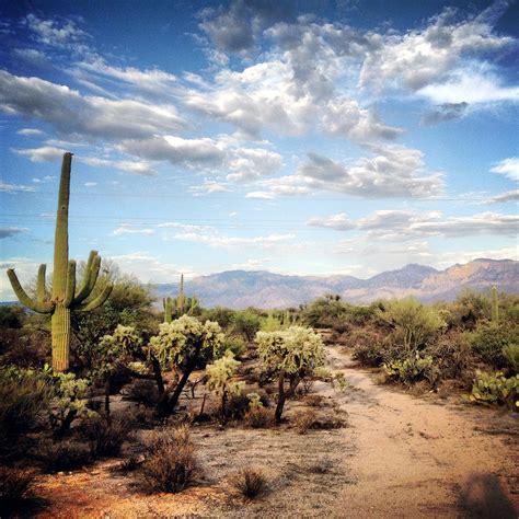 Sonoran Desert | K e v i n | Flickr