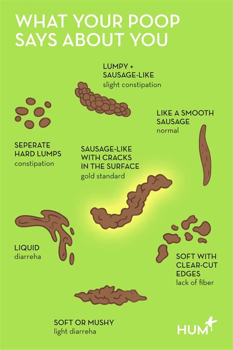 Types Of Poop And What They Mean About Your Health – NBKomputer