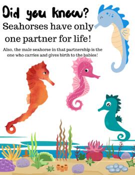 DID YOU KNOW- seahorse fun facts by Purple Elephant Printables | TPT