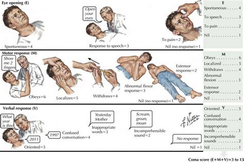 Coma, Vegetative State, Brain Death, and Increased Intracranial ...