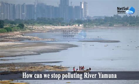 How can we stop polluting River Yamuna? Top 3 Method