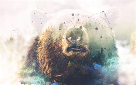 Grizzly bear Forest Double Exposure 4K Wallpapers | HD Wallpapers | ID ...