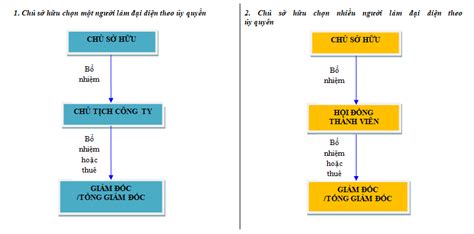 Cơ cấu tổ chức quản lý của doanh nghiệp mới - TƯ VẤN LUẬT DOANH NGHIỆP ...