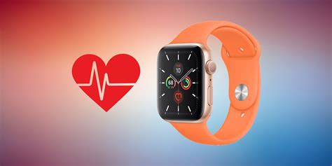 How Apple Watch Measures Heart Rate & Its Accuracy Explained