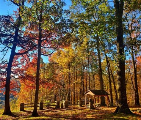 Savage River State Forest | Forests & Parks | Biking | Camping | Hiking ...