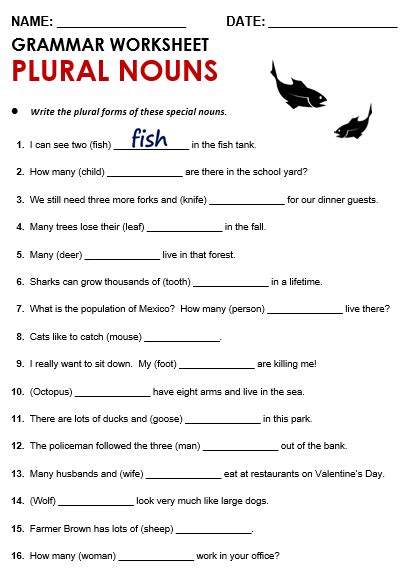 Singular And Plural Nouns Worksheet