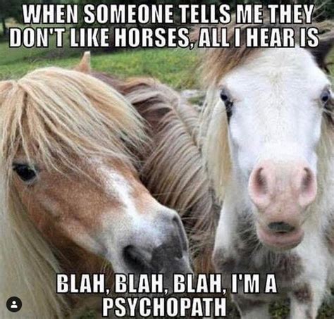 14 Funny Horse Memes That Will Make You Smile Page 2 Of 3 Petpress ...